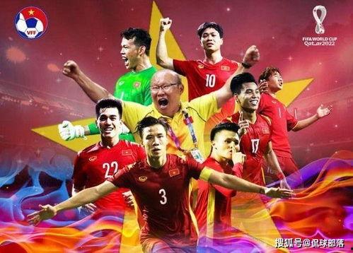 国足亚洲鱼腩视频,反思与崛起之路