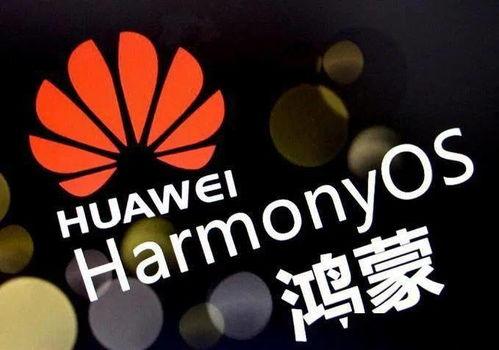 5月25日韩城新闻视频,5月25日聚焦热点事件与民生动态