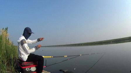 钓鱼视频大全,视频大全带你畅游垂钓世界