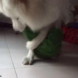 日韩天天怕怕怕视频,揭秘恐怖视频背后的真实故事